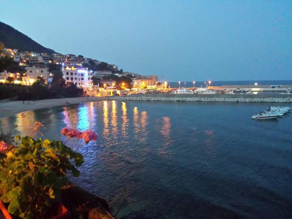 Appartamenti Le Conchiglie E Le Stelle Marine กาลาโกโนเน ภายนอก รูปภาพ