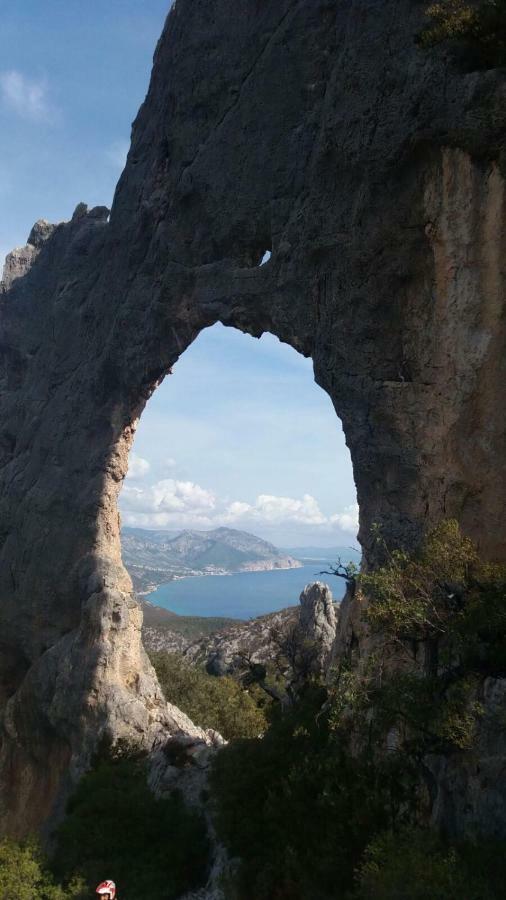 Appartamenti Le Conchiglie E Le Stelle Marine กาลาโกโนเน ภายนอก รูปภาพ